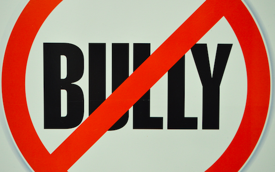 Bully-Image-560