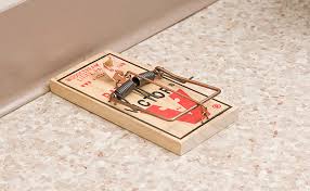 mousetrap