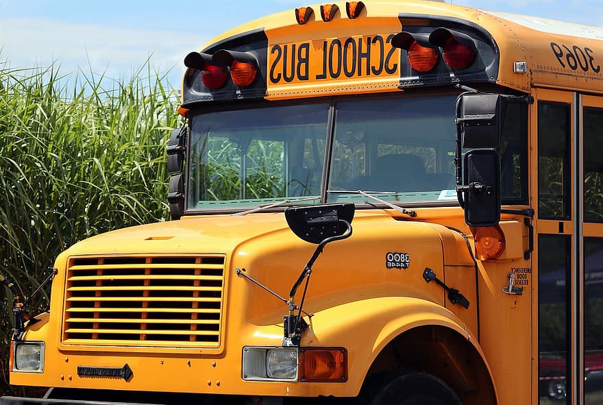 school-bus-school-bus-transport-education-vehicle-yellow-schulbeginn-learn